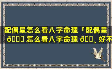 配偶星怎么看八字命理「配偶星 🐈 怎么看八字命理 🌸 好不好」